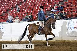 13buck_0991 thumbnail