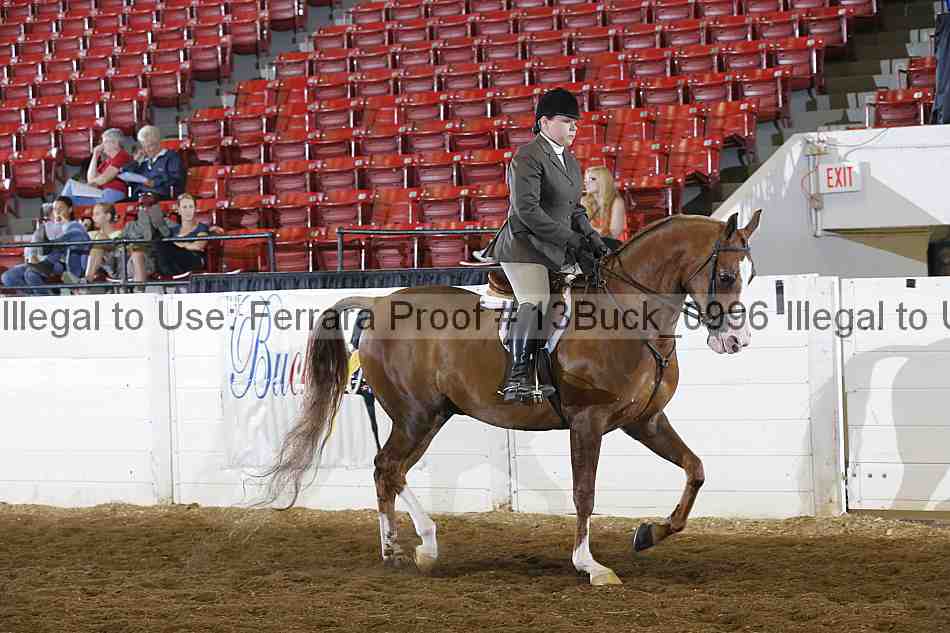Proof Number 13buck_0996