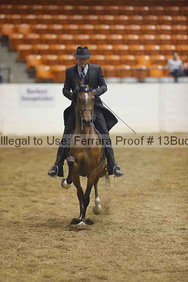 Proof Number 13buck_1009
