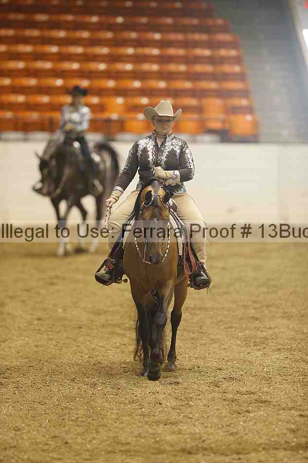 Proof Number 13buck_1051