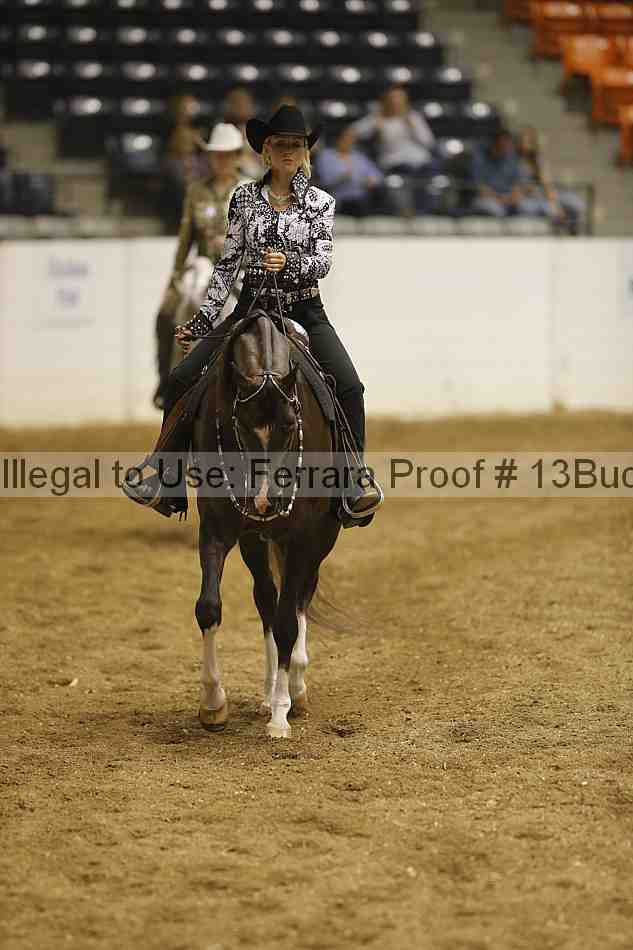 Proof Number 13buck_1056