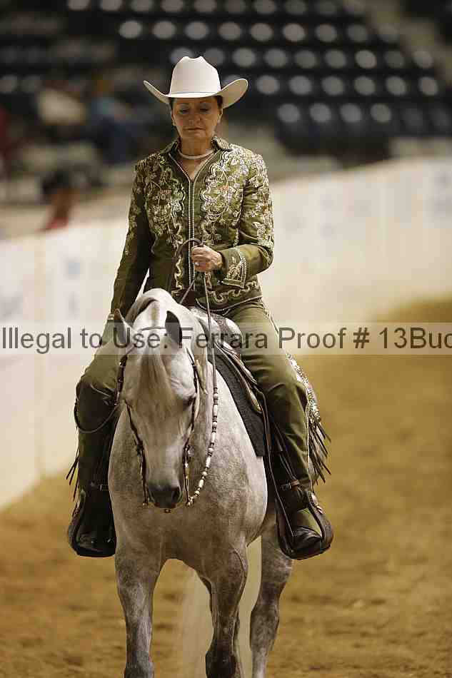 Proof Number 13buck_1059