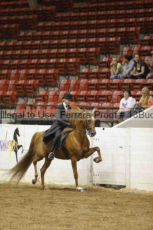 Proof Number 13buck_1095