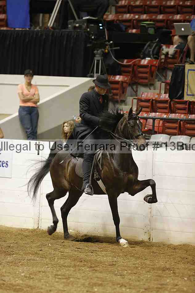 Proof Number 13buck_1097