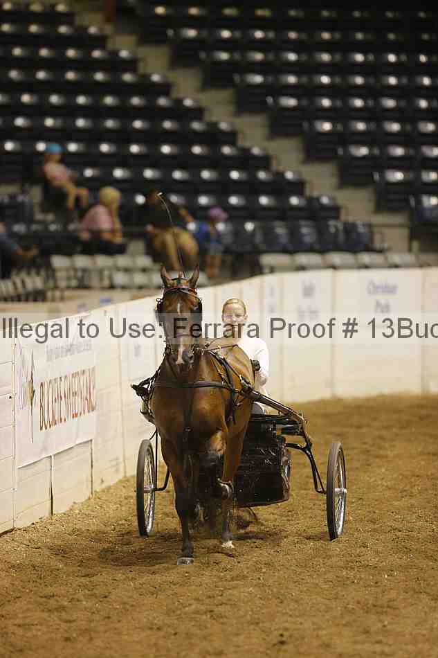 Proof Number 13buck_1119