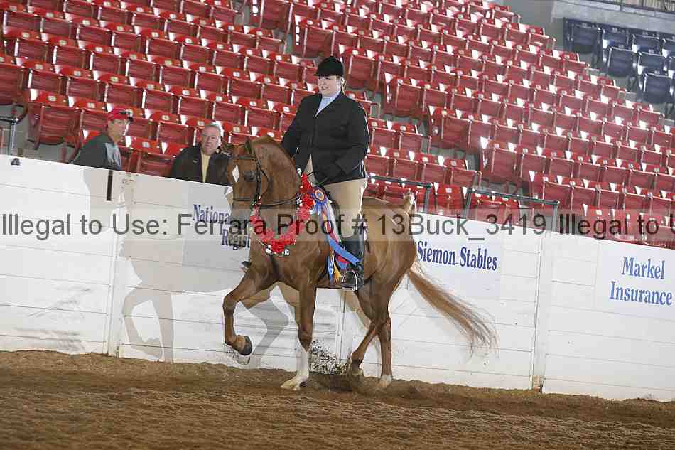 Proof Number 13buck_3419