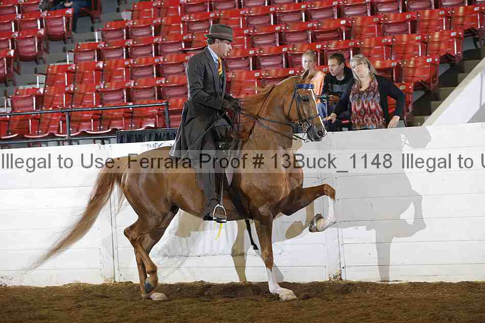Proof Number 13buck_1148
