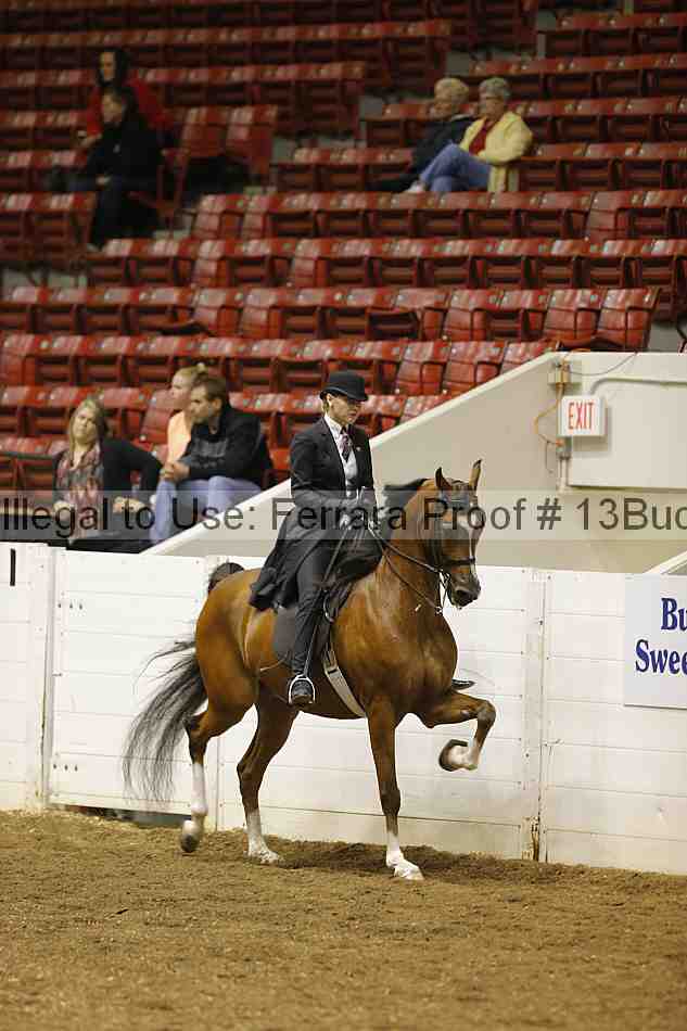 Proof Number 13buck_1149