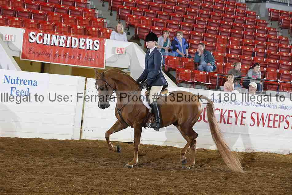 Proof Number 13buck_1180