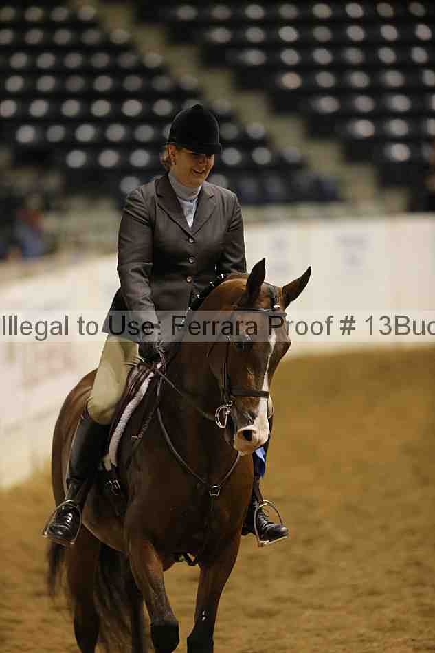 Proof Number 13buck_1189