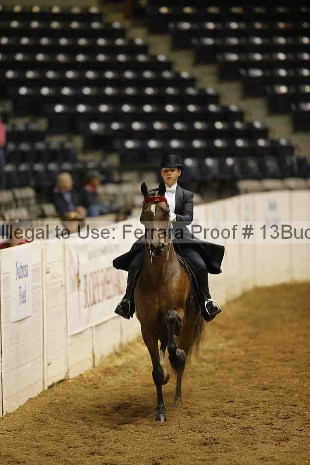 Proof Number 13buck_1198