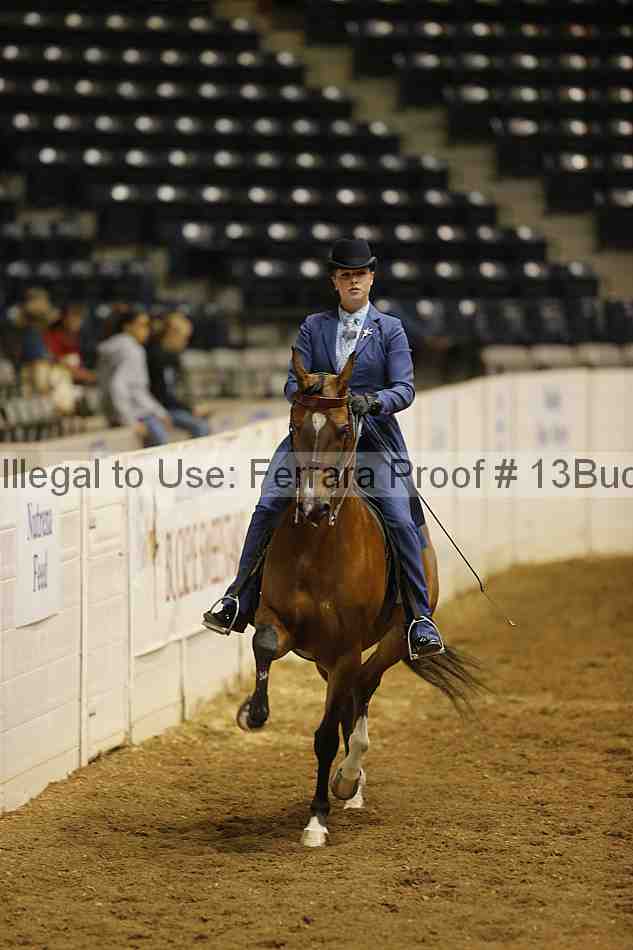 Proof Number 13buck_1240