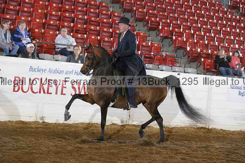 Proof Number 13buck_1295