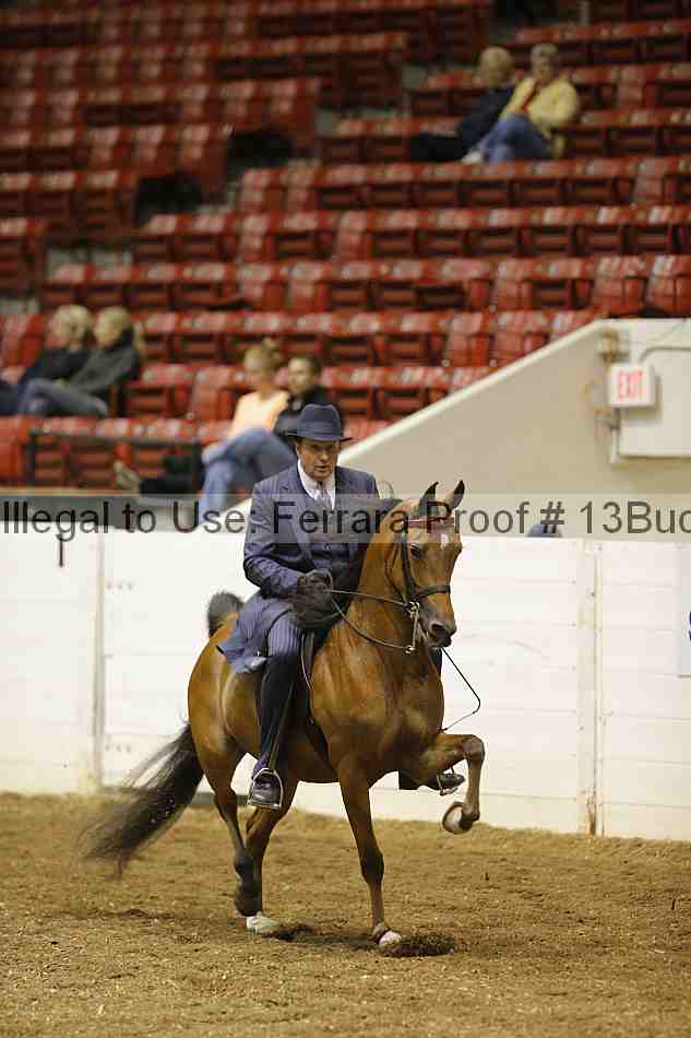 Proof Number 13buck_1302