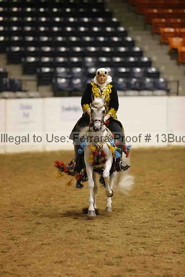 Proof Number 13buck_1334