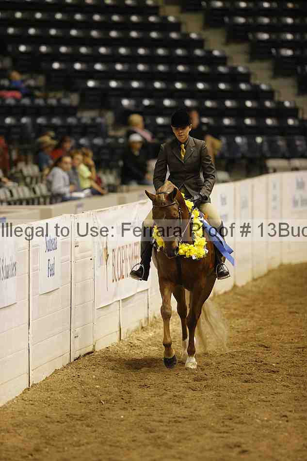 Proof Number 13buck_1396
