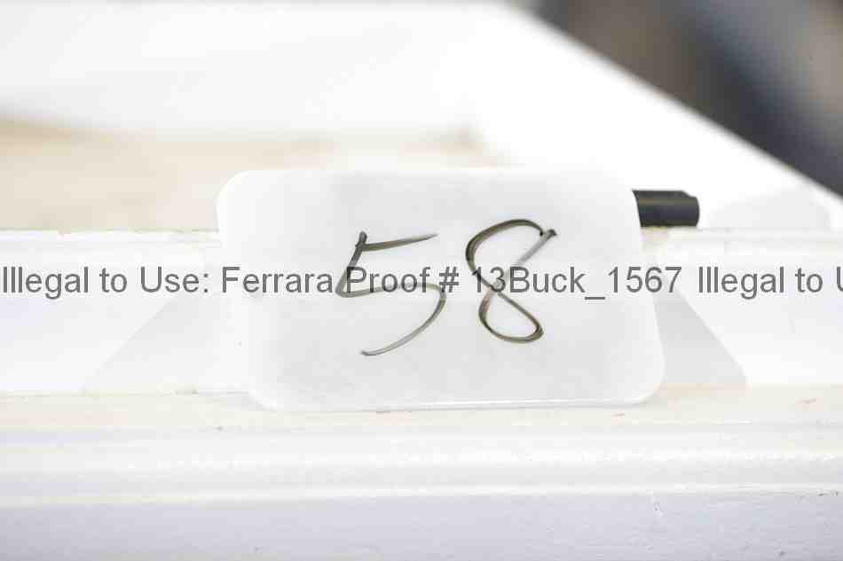 Proof Number 13buck_1567