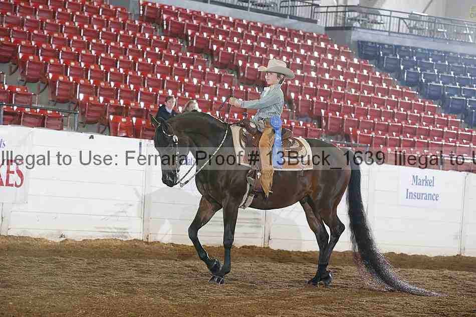 Proof Number 13buck_1639
