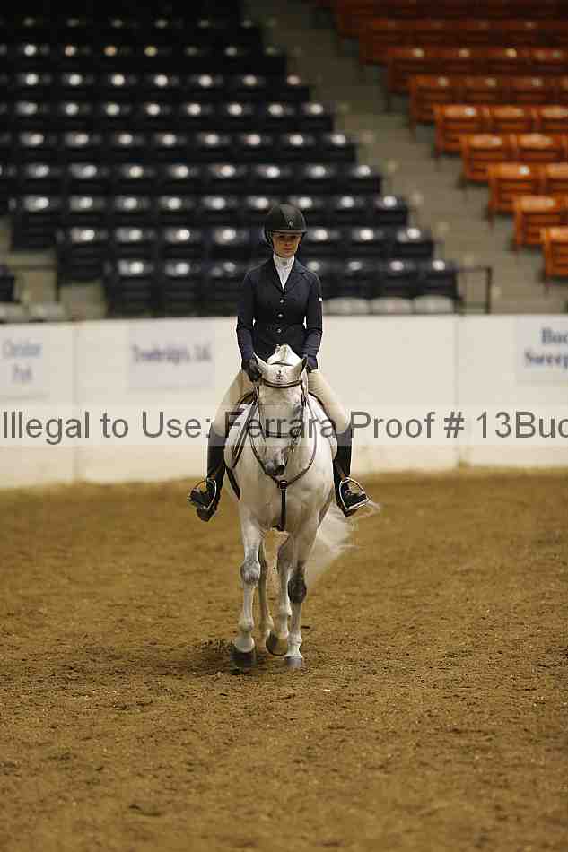 Proof Number 13buck_1653