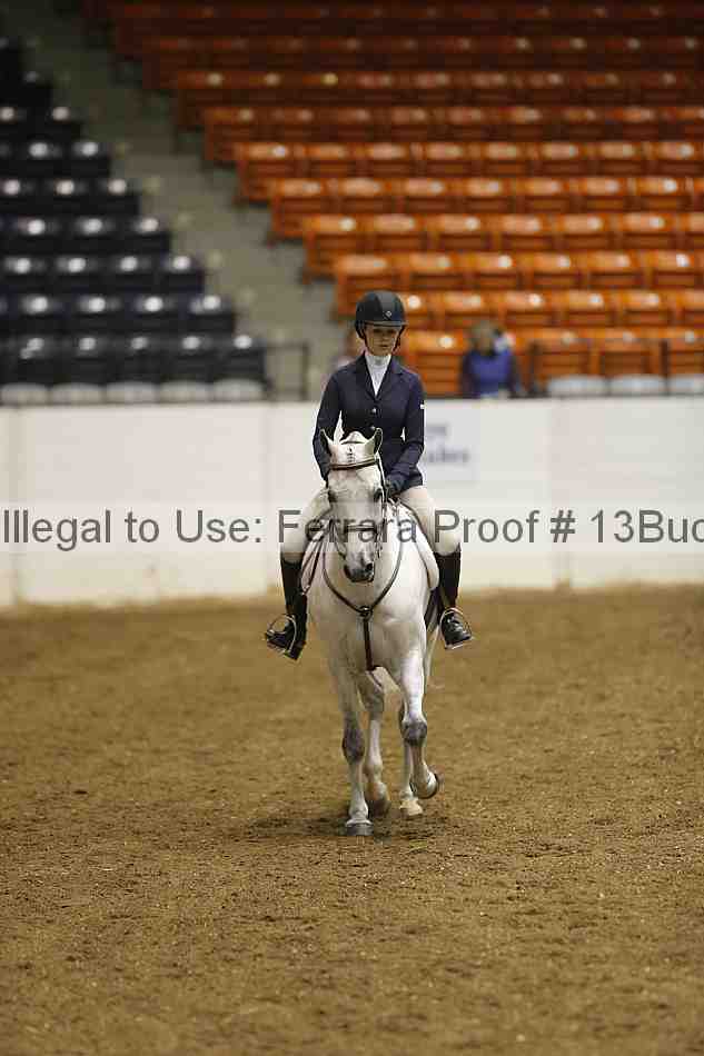Proof Number 13buck_1669