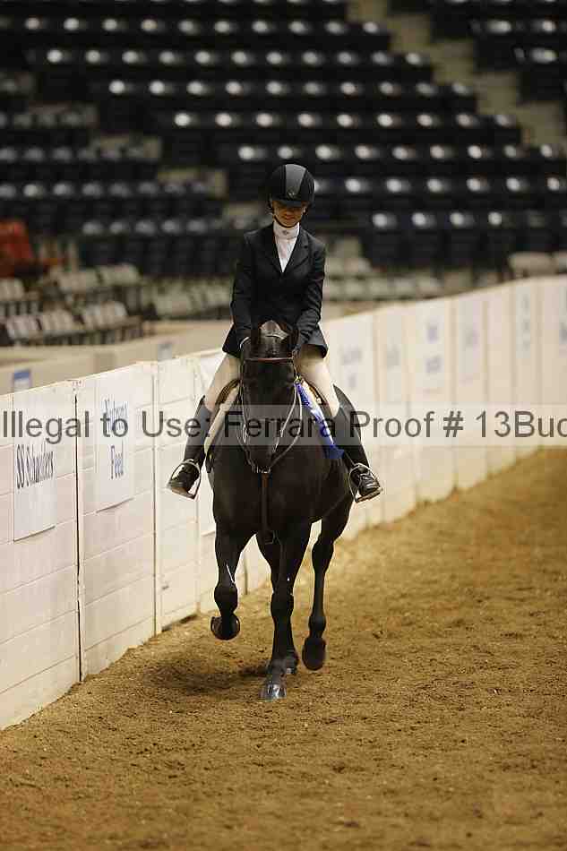 Proof Number 13buck_1691