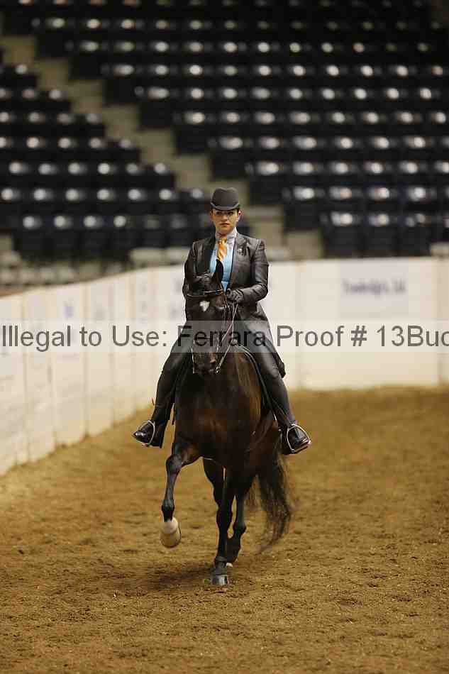 Proof Number 13buck_1698