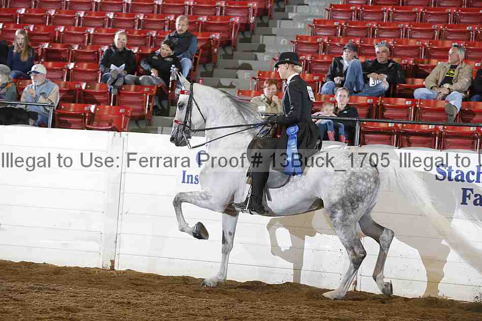 Proof Number 13buck_1705