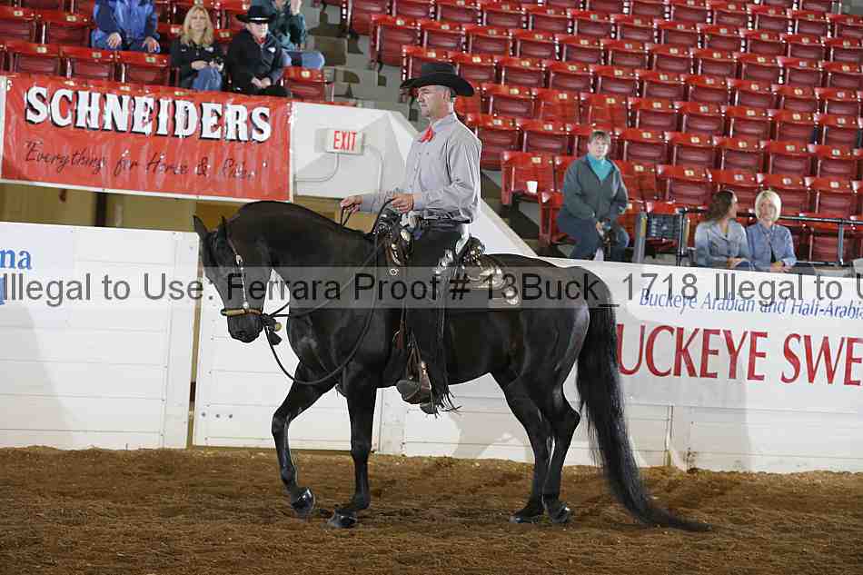 Proof Number 13buck_1718