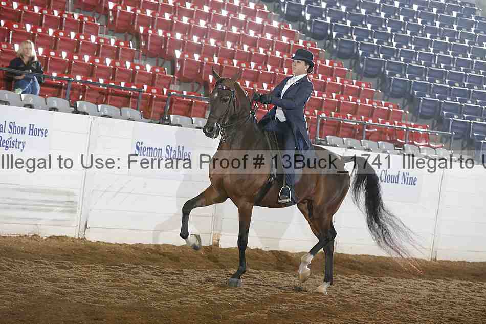 Proof Number 13buck_1741