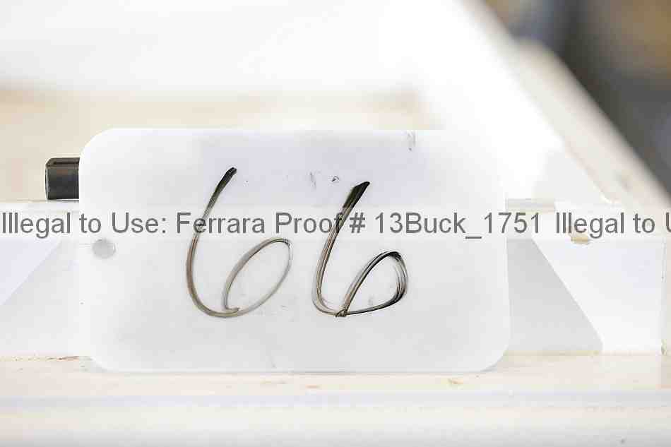Proof Number 13buck_1751