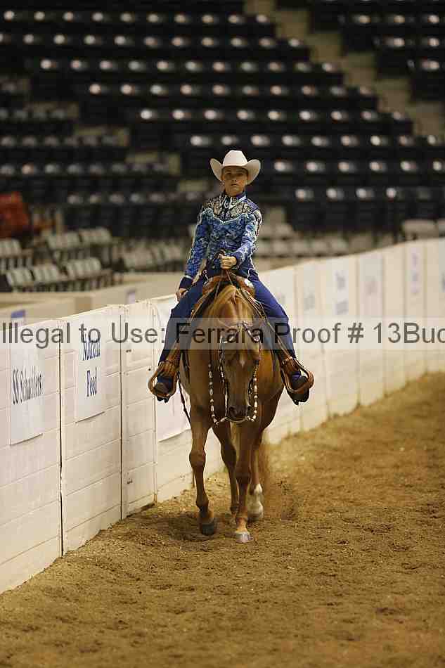 Proof Number 13buck_1758