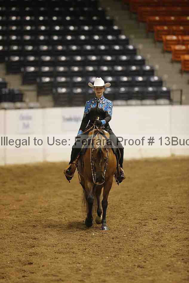 Proof Number 13buck_1765