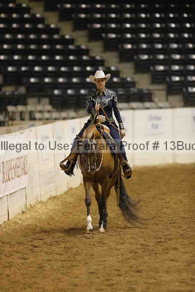 Proof Number 13buck_1801