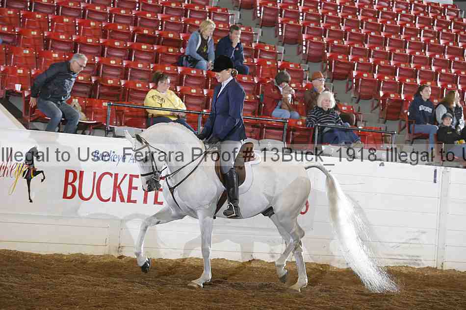 Proof Number 13buck_1918