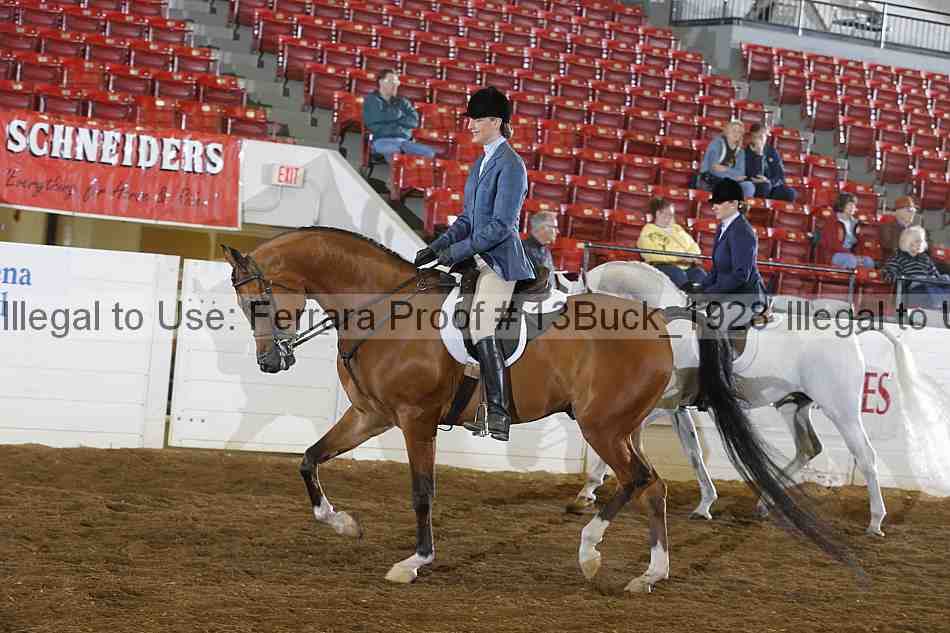 Proof Number 13buck_1928