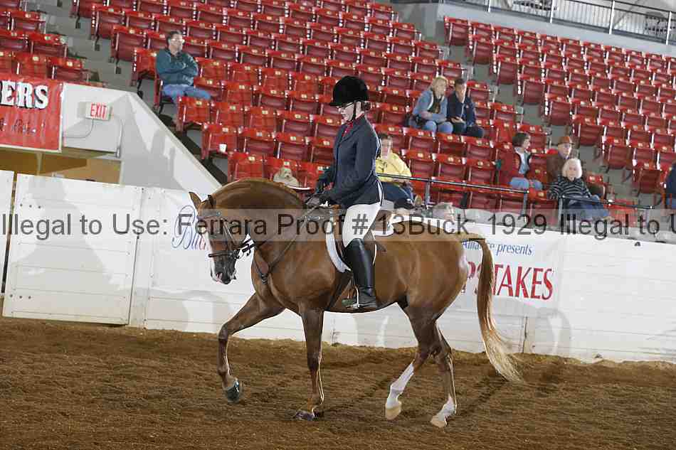 Proof Number 13buck_1929