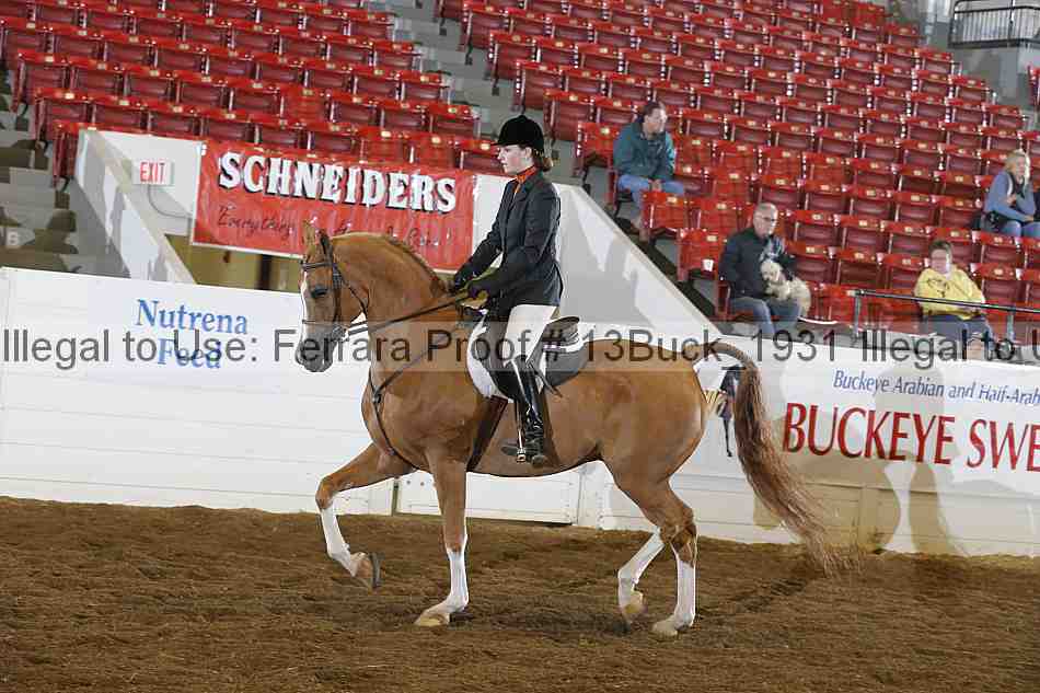 Proof Number 13buck_1931