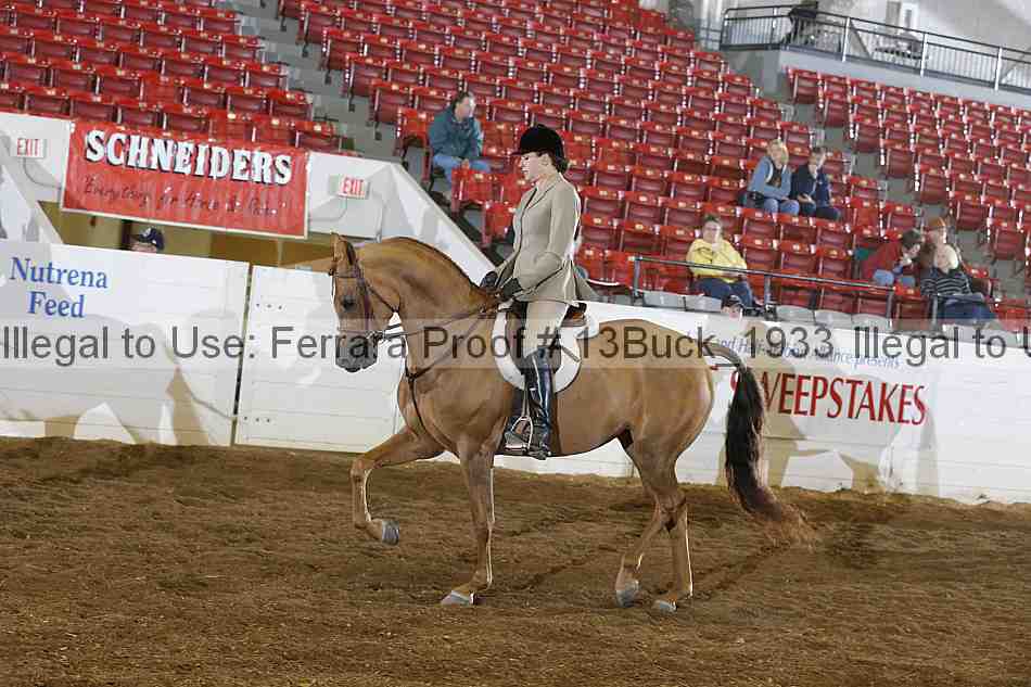 Proof Number 13buck_1933