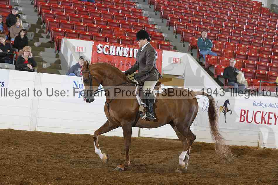 Proof Number 13buck_1943
