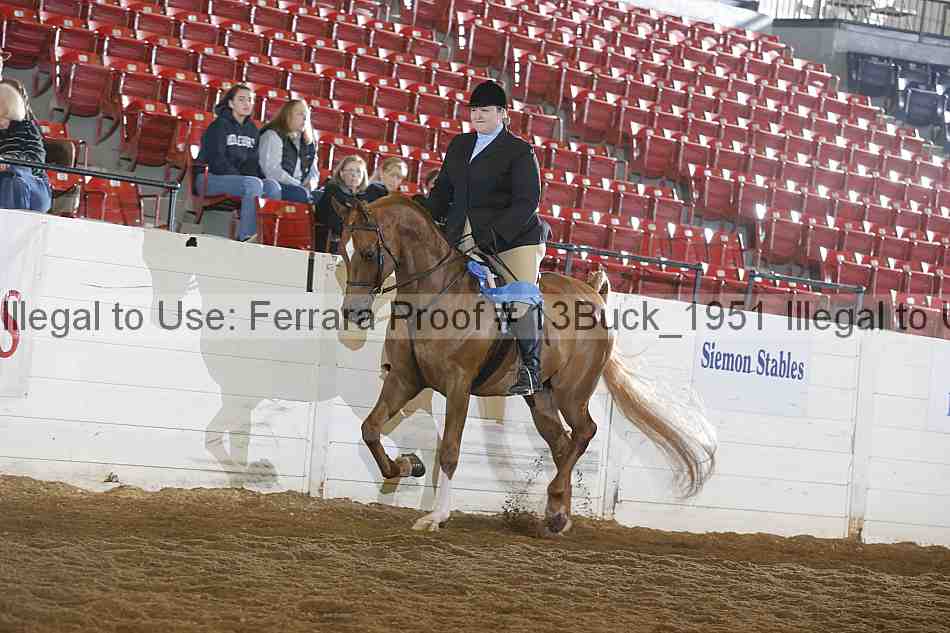 Proof Number 13buck_1951