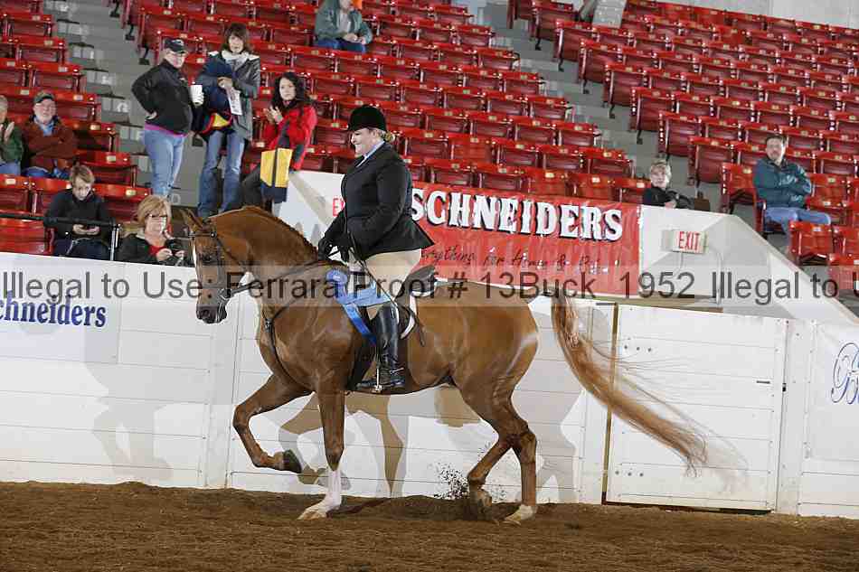Proof Number 13buck_1952