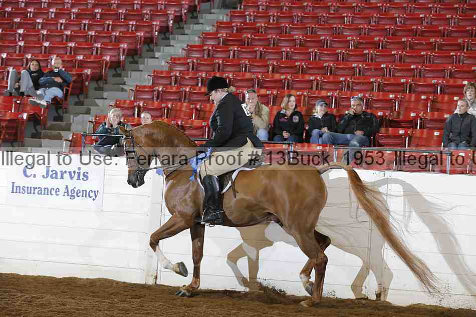 Proof Number 13buck_1953