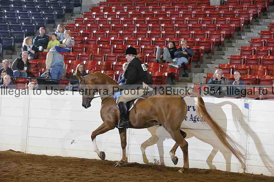 Proof Number 13buck_1954