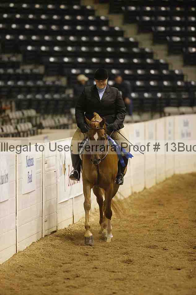 Proof Number 13buck_1955