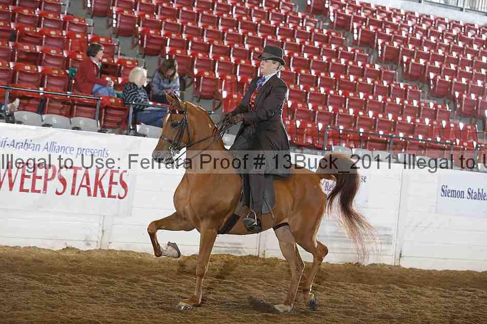 Proof Number 13buck_2011