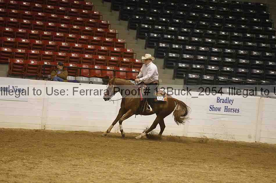Proof Number 13buck_2054