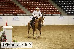 13buck_2055 thumbnail