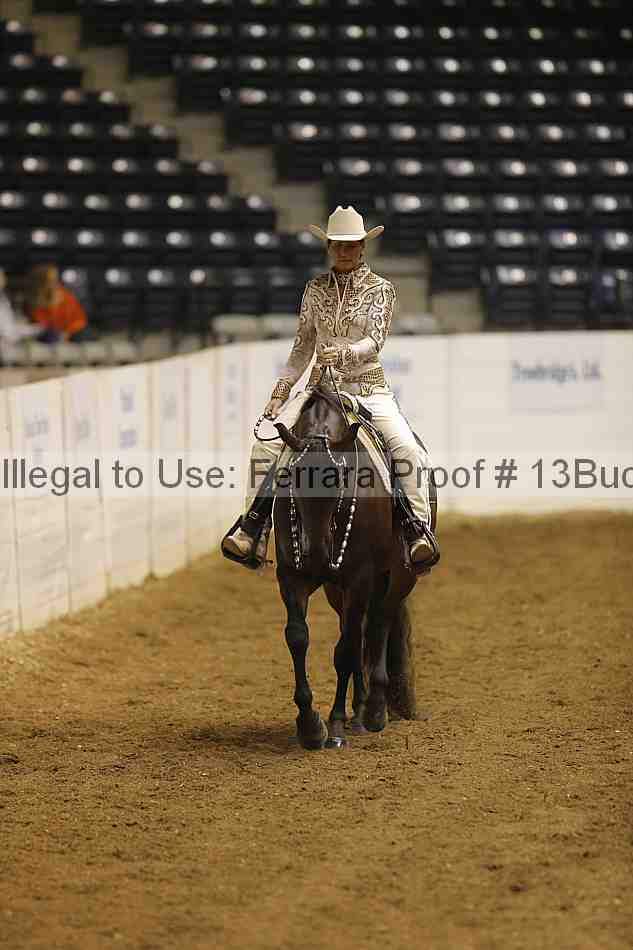 Proof Number 13buck_2190