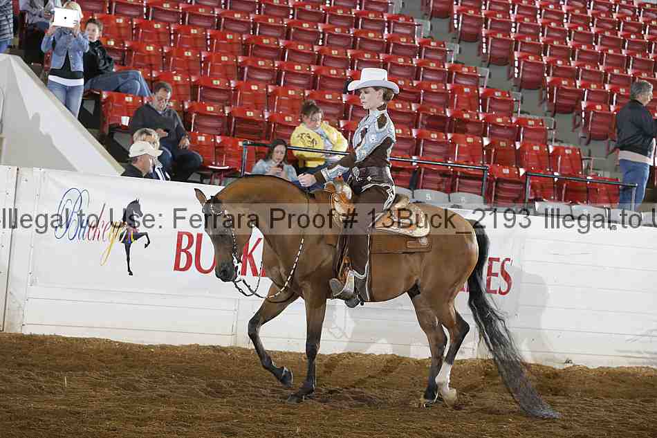 Proof Number 13buck_2193