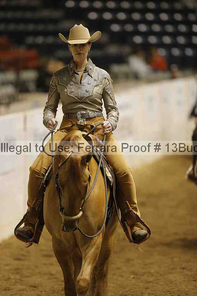 Proof Number 13buck_2196